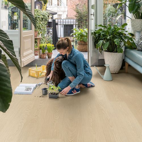 Вінілова підлога Quick Step Blos 40277 Дуб маслянка AVSPU40277 фото StarFloor