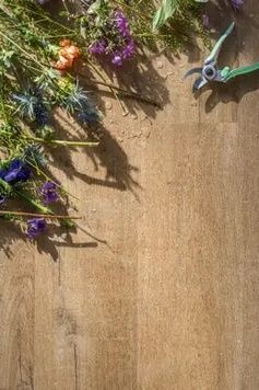 Виниловый пол Quick Step Bloom 40104 Дуб хлопок натуральный AVMPU40104 фото StarFloor