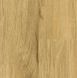 Вінілова підлога Falquon The Floor Wood P7001 Дуб Медовий P7001 фото Стар Флор 1