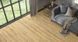 Ламінат Agt Luna 103 Акація PRK103 фото StarFloor