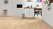 Ламинат Haro Tritty 100 Oak Portland Puro 533122 фото Стар Флор 2