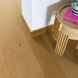 Вінілова підлога Quick Step Blos Base 40320 Дуб узбережний медовий AVSPT40320 фото Стар Флор 3