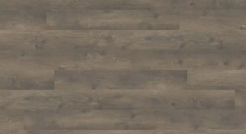 Ламинат Haro Tritty 100 Oak Bergamo Carbon 538694 фото StarFloor