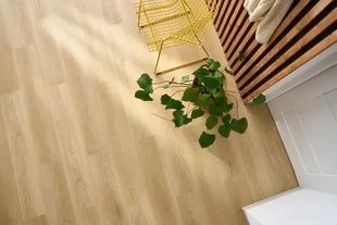 Вінілова підлога Arbiton Woodric 182 Дуб Холман CW182 фото StarFloor