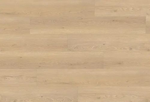 Ламинат Haro Tritty 100 Oak Flavia Puro 544711 фото StarFloor