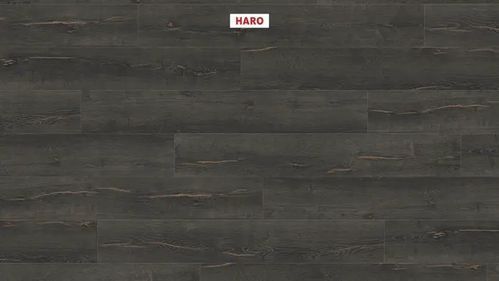 Ламинат Haro Tritty 200 Aqua Oak Metallic Black 544772 фото StarFloor