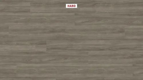 Ламинат Haro Tritty 200 Aqua Oak Eleganza Antique Grey 541555 фото StarFloor