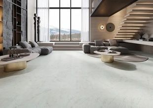Вінілова підлога Arbiton Amaron Forma 250 Braga Silver CAF250 фото StarFloor