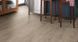 Ламинат Haro Tritty 200 Aqua Oak Veneto Mocca 537373 фото Стар Флор 1