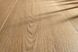 Виниловый пол Gerflor Virtuo 55 DryBack 1460 Blomma Beige