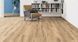 Ламінат Haro Tritty 100 Gran Via Oak Italica Creme 530693 фото Стар Флор 1