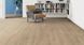 Ламинат Haro Tritty 200 Aqua Oak Veneto Crema 541560 фото Стар Флор 1