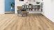 Ламинат Haro TRITTY 100 538920 Oak Italica Creme 538920 фото Стар Флор 2
